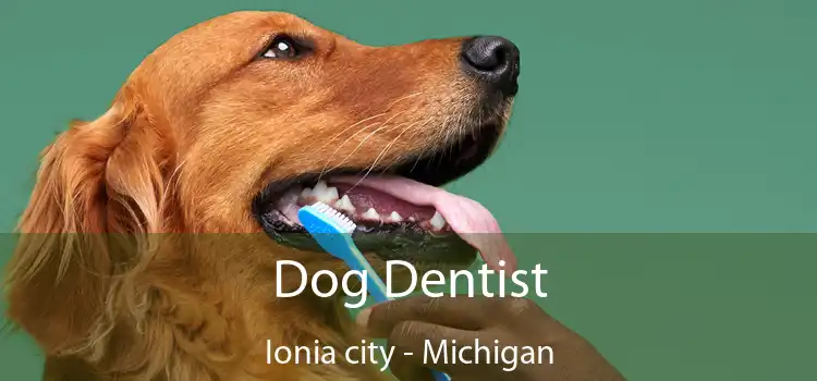 Dog Dentist Ionia city - Michigan