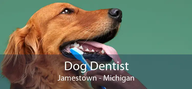 Dog Dentist Jamestown - Michigan