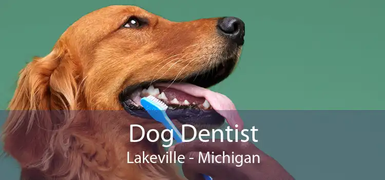 Dog Dentist Lakeville - Michigan