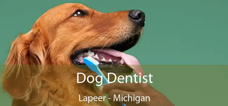 Dog Dentist Lapeer - Michigan