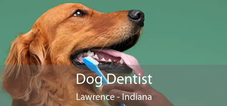 Dog Dentist Lawrence - Indiana