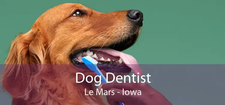Dog Dentist Le Mars - Iowa
