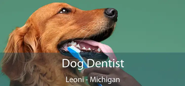 Dog Dentist Leoni - Michigan