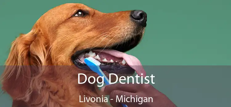 Dog Dentist Livonia - Michigan