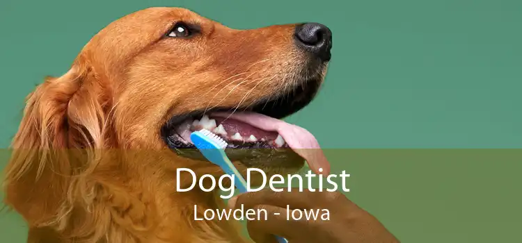 Dog Dentist Lowden - Iowa