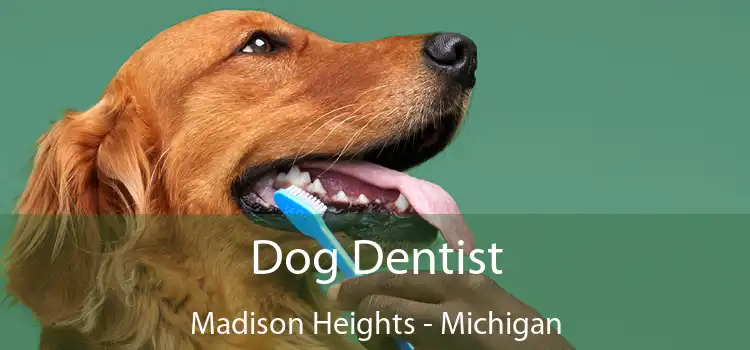 Dog Dentist Madison Heights - Michigan