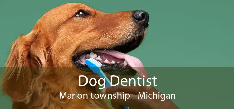Dog Dentist Marion township - Michigan