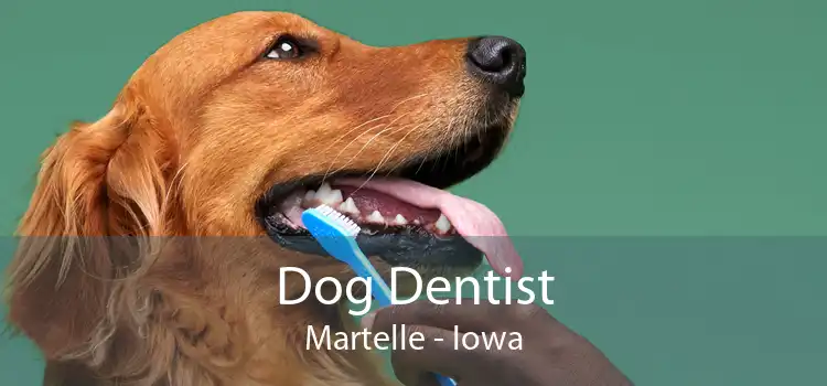 Dog Dentist Martelle - Iowa