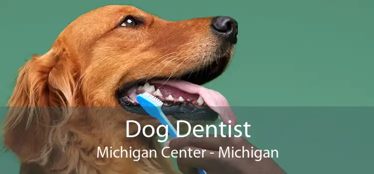 Dog Dentist Michigan Center - Michigan