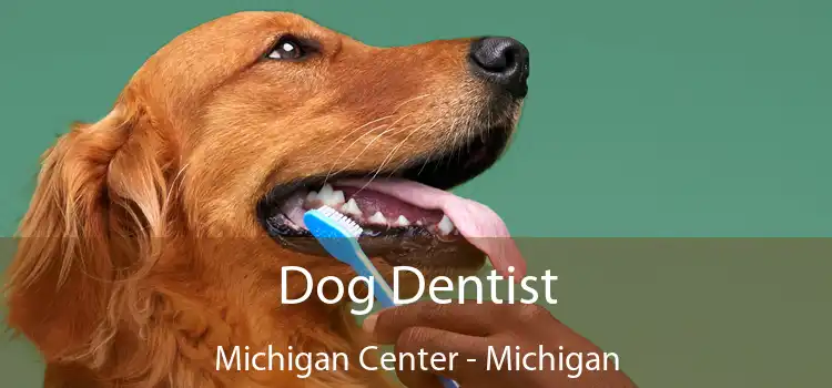 Dog Dentist Michigan Center - Michigan