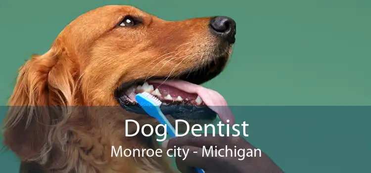 Dog Dentist Monroe city - Michigan