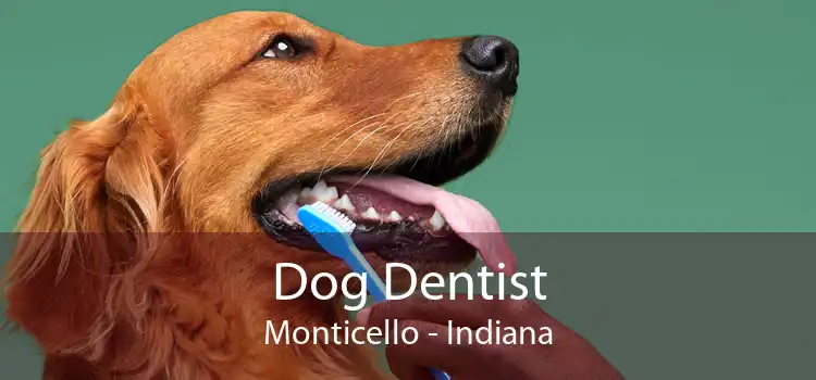 Dog Dentist Monticello - Indiana