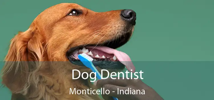 Dog Dentist Monticello - Indiana