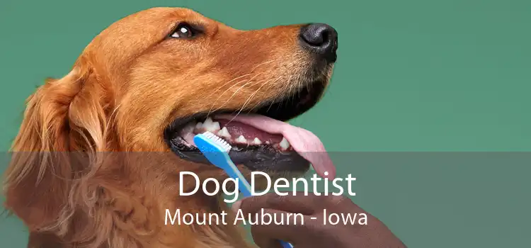 Dog Dentist Mount Auburn - Iowa