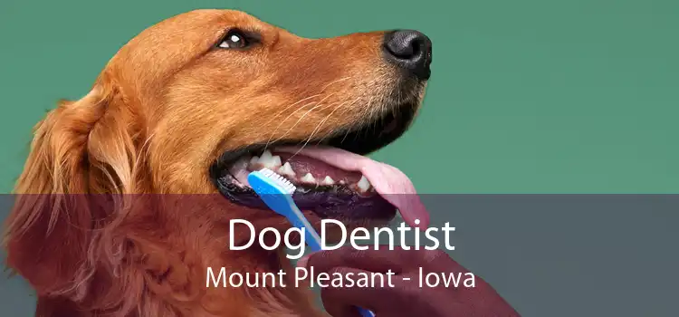 Dog Dentist Mount Pleasant - Iowa