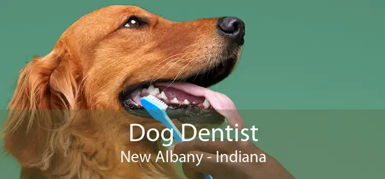Dog Dentist New Albany - Indiana