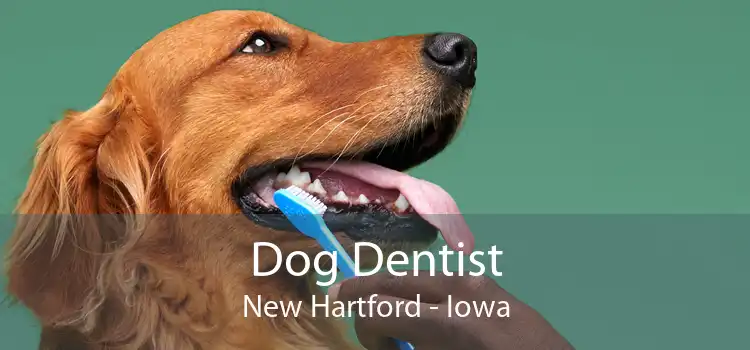Dog Dentist New Hartford - Iowa