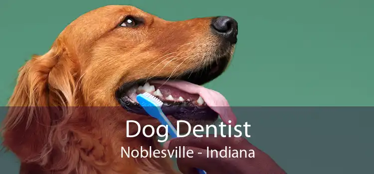 Dog Dentist Noblesville - Indiana