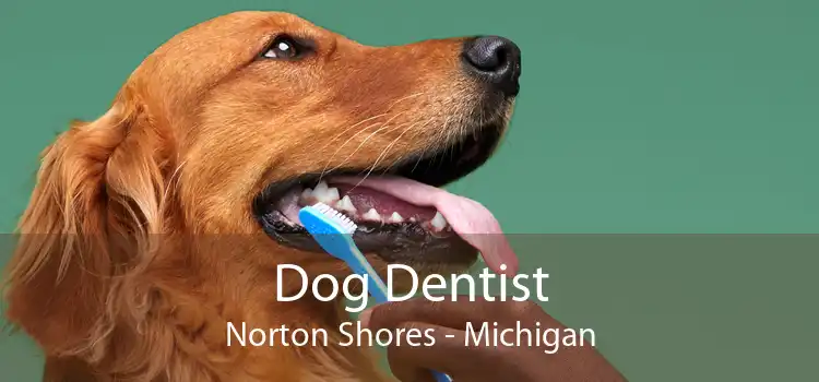 Dog Dentist Norton Shores - Michigan