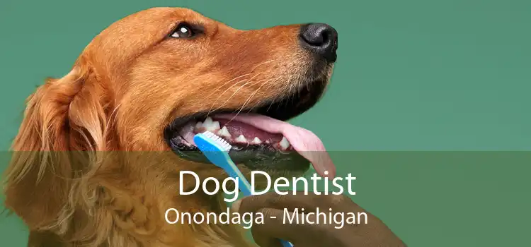 Dog Dentist Onondaga - Michigan
