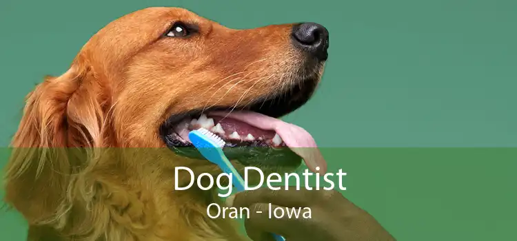 Dog Dentist Oran - Iowa
