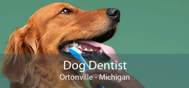 Dog Dentist Ortonville - Michigan