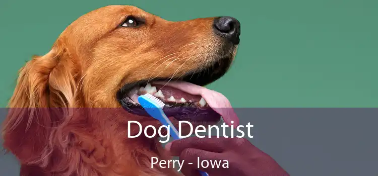 Dog Dentist Perry - Iowa