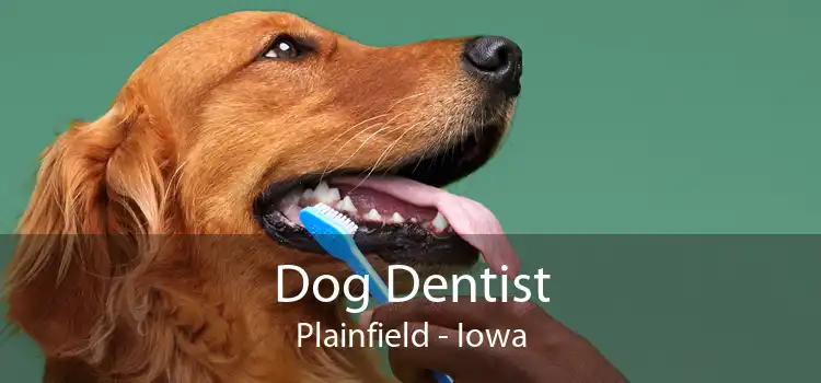 Dog Dentist Plainfield - Iowa