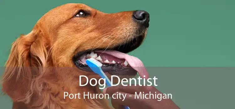 Dog Dentist Port Huron city - Michigan