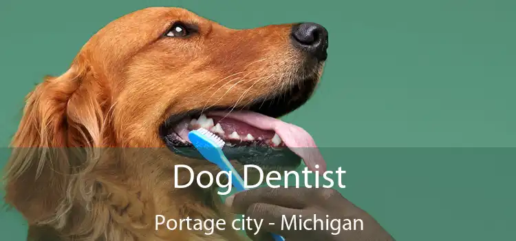 Dog Dentist Portage city - Michigan