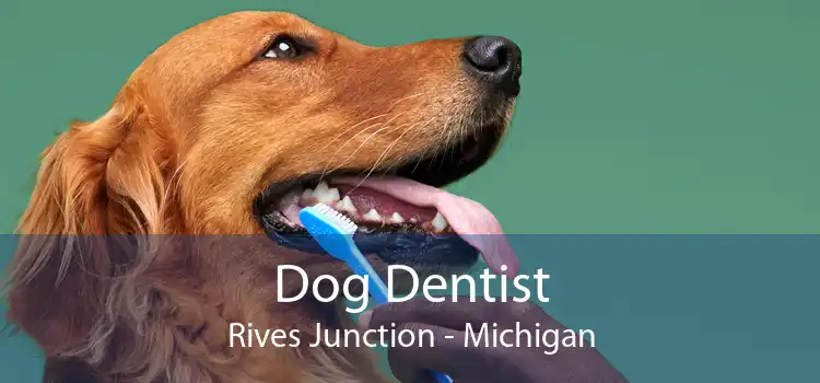 Dog Dentist Rives Junction - Michigan
