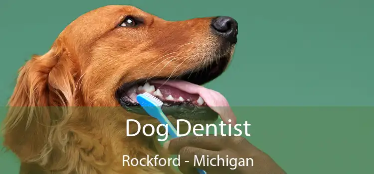 Dog Dentist Rockford - Michigan