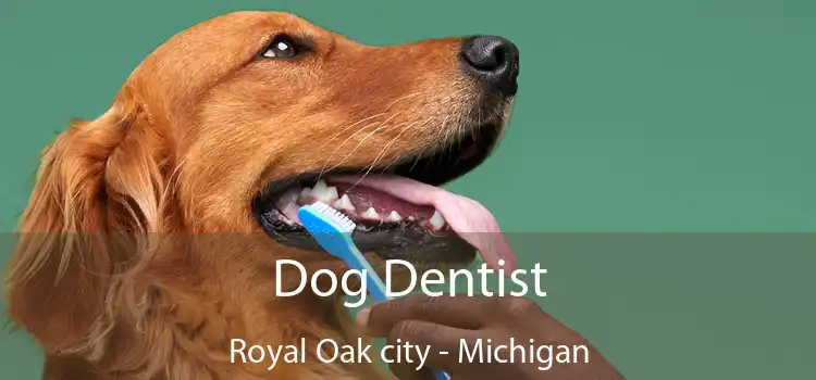 Dog Dentist Royal Oak city - Michigan