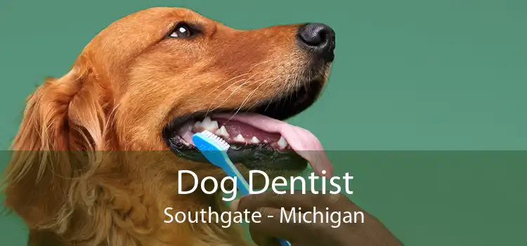 Dog Dentist Southgate - Michigan