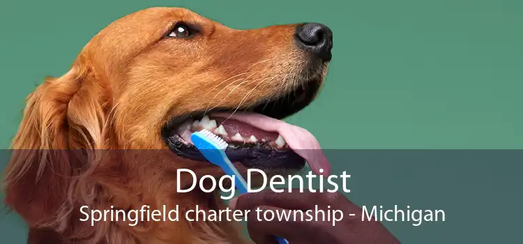 Dog Dentist Springfield charter township - Michigan