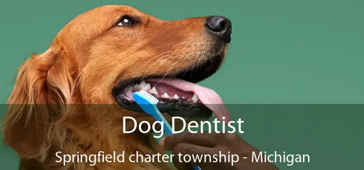 Dog Dentist Springfield charter township - Michigan