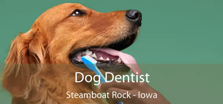 Dog Dentist Steamboat Rock - Iowa