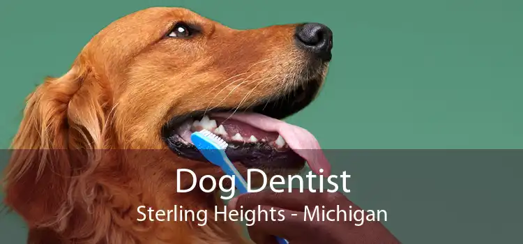 Dog Dentist Sterling Heights - Michigan