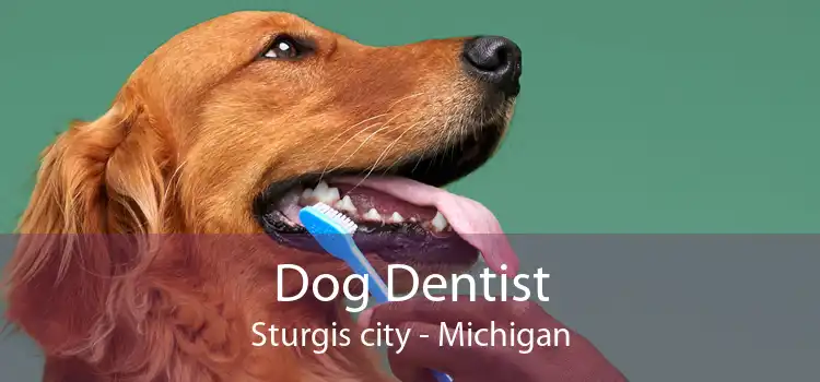 Dog Dentist Sturgis city - Michigan