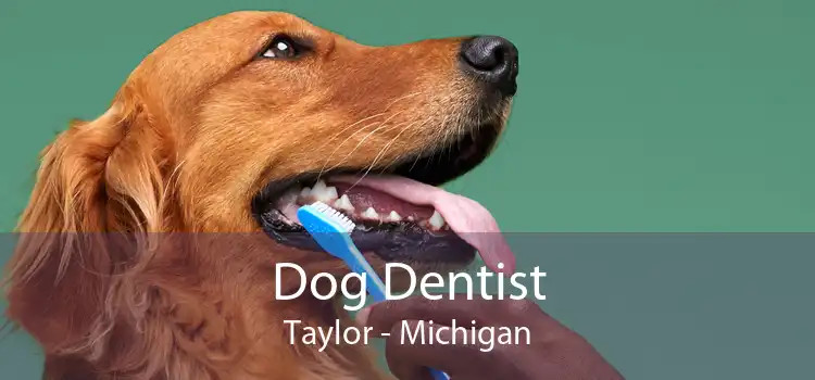 Dog Dentist Taylor - Michigan