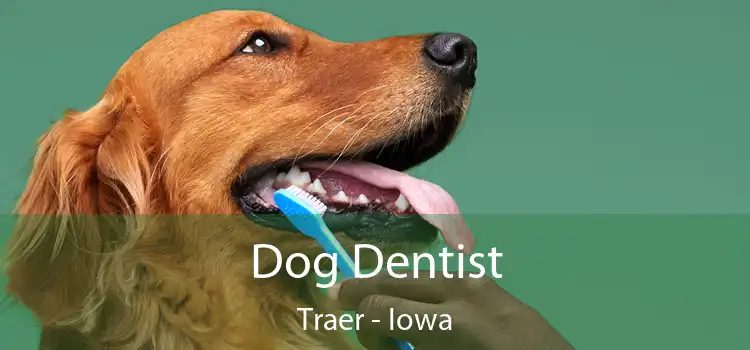 Dog Dentist Traer - Iowa