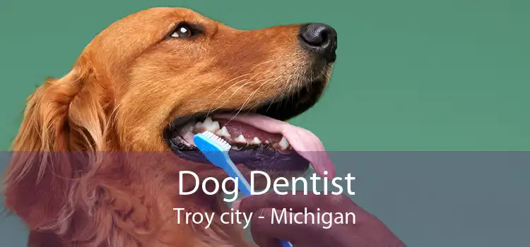 Dog Dentist Troy city - Michigan