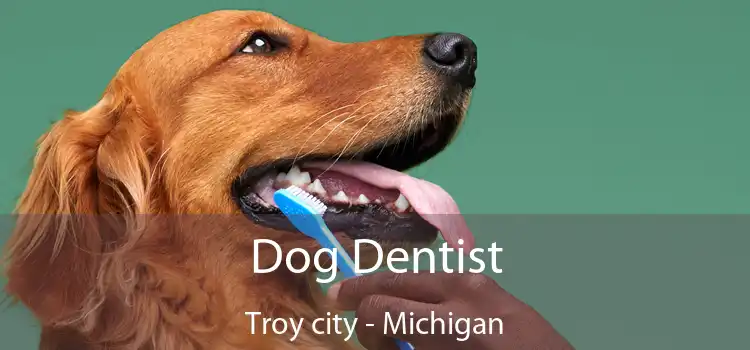 Dog Dentist Troy city - Michigan