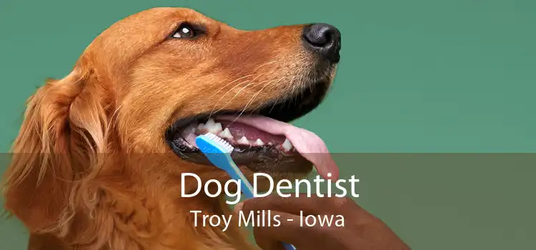 Dog Dentist Troy Mills - Iowa