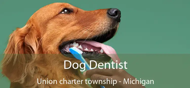 Dog Dentist Union charter township - Michigan