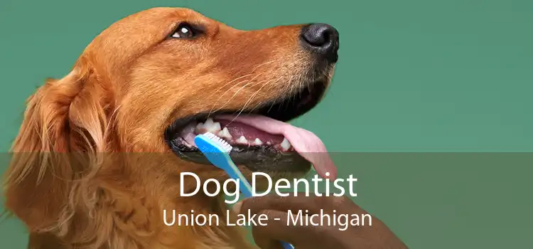 Dog Dentist Union Lake - Michigan