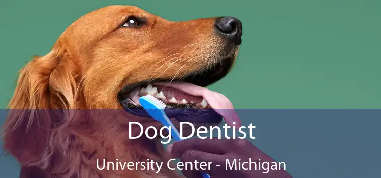 Dog Dentist University Center - Michigan