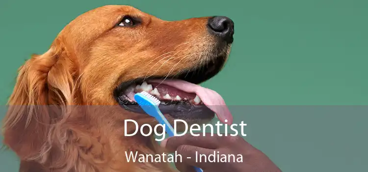 Dog Dentist Wanatah - Indiana