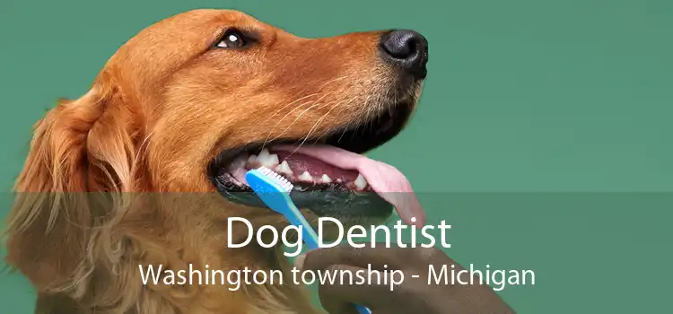 Dog Dentist Washington township - Michigan