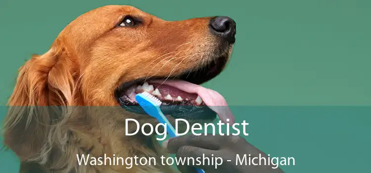 Dog Dentist Washington township - Michigan